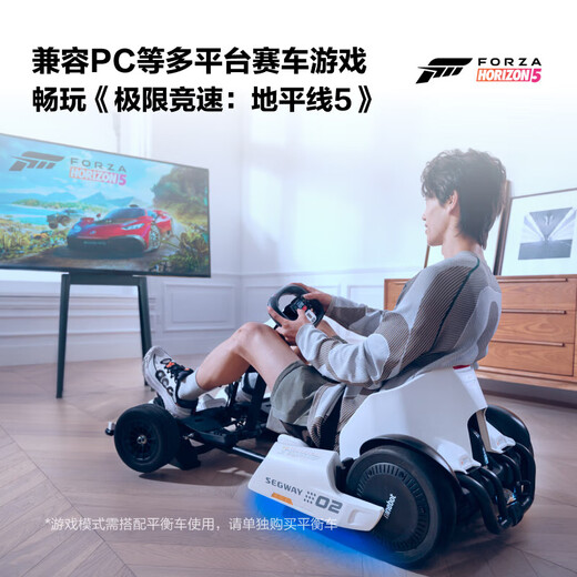NINEBOT九号卡丁车儿童成年人炫酷漂移车四轮小赛车9号平衡车mini改装卡丁车套件2网红款APP男女智能车pro 九号卡丁车mini双色保马烤漆款