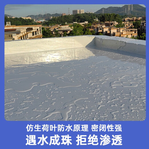 Gaodun Tiandong polyurea roof waterproof glue insulation roof coating transparent brick-free leak-proofing and crack-blocking material grass green (waterproof decoration sun protection) 1L