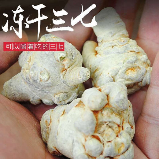 健颐年冻干三七特级云南文山三七三七粉春田七20头30头 可生吃泡酒药材 特大级冻干三七250g