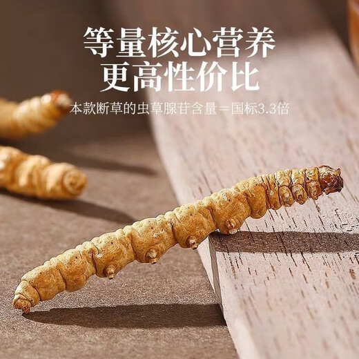 Xueyuantang cordyceps sinensis insecte entier herbe cassée authentique cordyceps sélectionnés produits toniques plateau cordyceps entiers insectes chinois médicinaux toniques environ 0,2 g / racine (insecte entier herbe brisée)