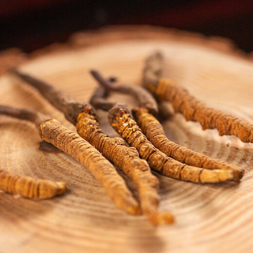 Lei Yunshang [Official] [Naru Qu, Tibet] Cordyceps Подарки и подарки для подарков для продуктов для здоровья, основная производственная зона Аутентичные Cordyceps - 5 корней/G 10G Около 50 корней