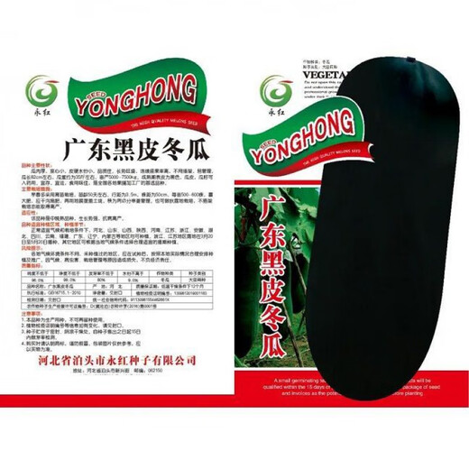 Guangdong black-skinned winter melon seeds, extra-large giant vegetable winter melon, high-yielding spring and four-season field vegetable seeds, Guangdong black-skinned winter melon seeds 30 original x2 pack