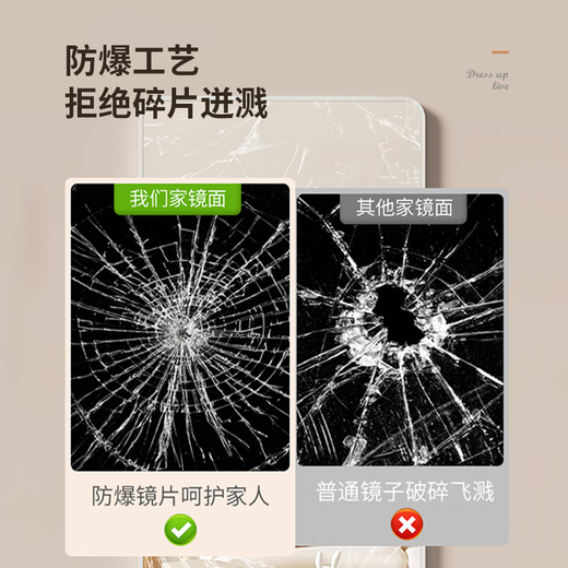 小魔网红穿衣镜全身落地镜服装店试衣镜ins家用壁挂卧室玄关镜