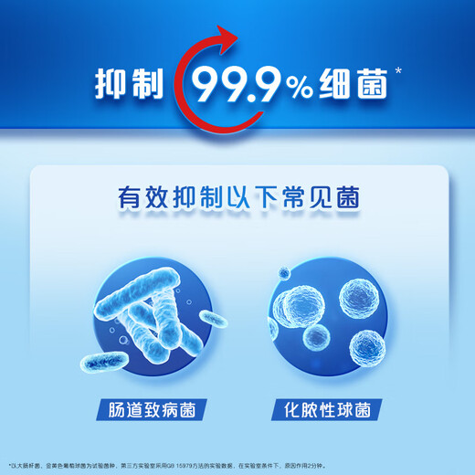 Safeguard Antibacterial Foam Hand Sanitizer Sakura Scent 300g Healthy Antibacterial 99.9% Fine Foam