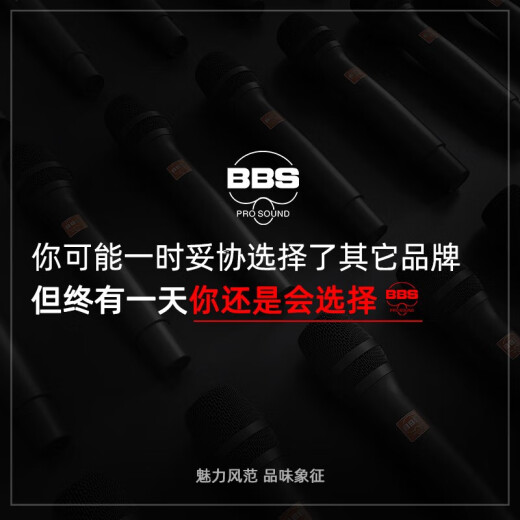 BBS Wireless Mikrofon Ein bis zwei professionelle Unterrichtsleistung Mikrofon-Bühnenbühne KTV Home Karaoke Home Karaoke U-Segmentausrüstung Set Anti-Whistle U-898BGs U-898BGS (Grau) offizieller Standard