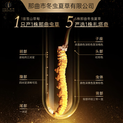 那曲冬虫夏草那曲野生冬虫夏草 滋补高端礼盒 3根/g 营养送长辈补品送领导送礼 【藏源精粹】25根 8.3g