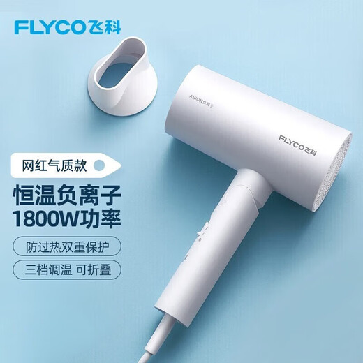 FLYCO Portable Hair Dryer Negative Ion Household High Power Deep Hair Hair Dryer Quick Drying Foldable Birthday Gift for Girlfriend FH6276 Milky White + Storage Bag
