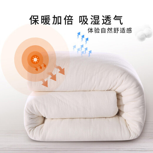 Pier Cardin Quilt Core 100% Xinjiang Cotton Quilt Spring and Autumn Four Seasons Cotton Tire Warm Winter Quilt Cotton Foil Pad Quilt in Winter 200*230cm 6Jin[Jin equals 0.5 kg]