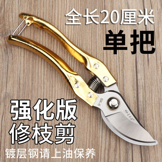 修枝剪子葡萄摘果剪 园林果树剪刀粗枝花剪 省力树枝修剪花的剪刀 高端H14116直款与灵巧剪搭配