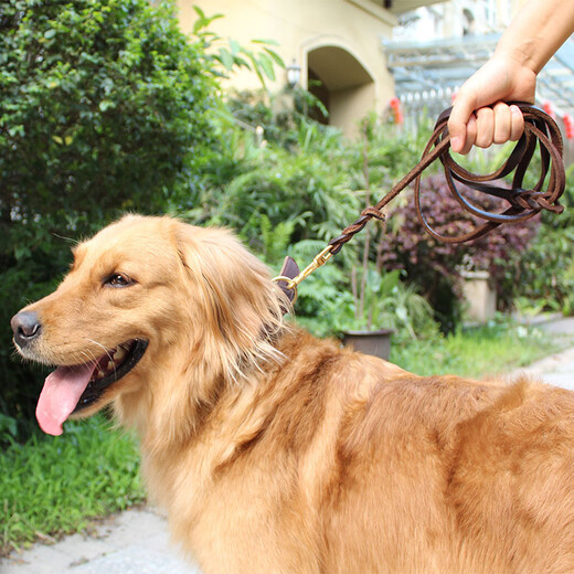 Dog cowhide traction rope traction belt medium and large small dogs golden retriever German shepherd dog walking rope leather rope p chain dog leash 1.5cm wide pure copper hook cowhide leather traction rope material 1.5 meters (actual length 1.2 meters)