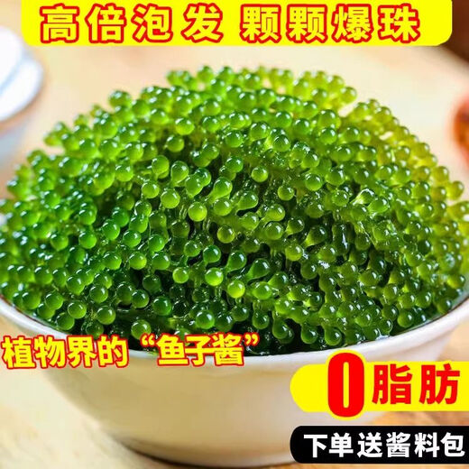 盐渍海葡萄泡发食用 儿童海藻菜海洋蔬菜海草 海葡萄100g*3袋【送芥末酱油】