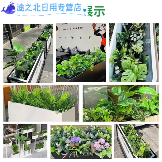 仿真绿植套装仿真花隔断植物装饰摆件花槽龟背叶花箱假花造景 e3895x20m五彩斑斓