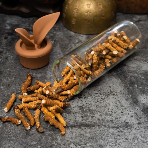 雄风道【处理10克-100克断草】冬虫夏草断虫草大断草正宗冬虫夏草断草实 虫草40克