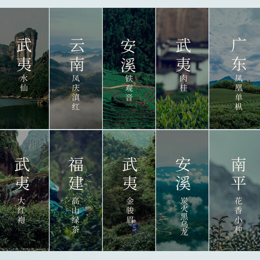 好韵当头10款小罐组合茶叶试喝装 红茶金骏眉小种大红袍肉桂乌龙茶绿茶 一泡难求十大茗茶*3盒（共30罐）