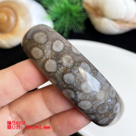 DR GRAFFCARNY珊瑚玉手镯天然菊花石玉镯子62mm天然水晶民族风礼物 6231