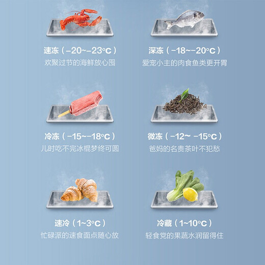 弗拉威冰柜商用大容量冷柜冷藏冷冻冰柜双温展示雪柜商用冷柜商用冷冻柜 728升级版单温