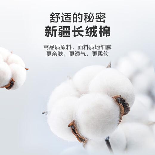 京东京造【经典系列】衬衫男白衬衫长袖衬衫外套秋冬男 白色39