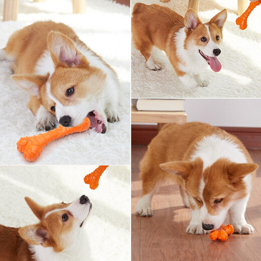 EETOYS Small Cheese Bone Dog Toy Funny Dog Molar Teeth Resistant Bite Stick Small Dog Type Dog Chew Pet Supplies