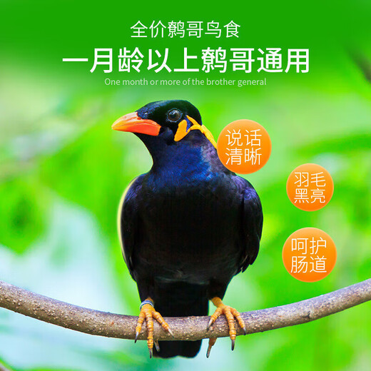 Kaiyuan (KO) full price myna food, bird food, bird food, feather aid bird food, probiotic nutritious bird food 1000g 1 bottle/bag
