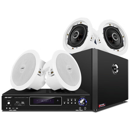 先科（SAST）吸顶式8.1家庭影院音响套装电视机家用客厅吊顶音箱3d环绕立体声嵌入式重低音功放套装蓝牙KTV 4.1（丝膜高音音响4个+低音炮+5.1功放机）