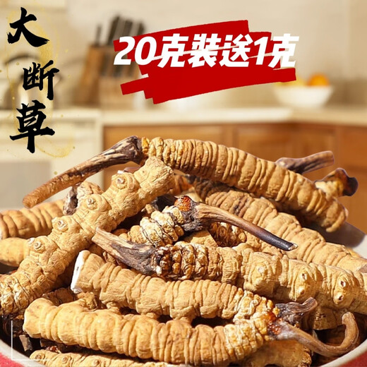 Cordyceps Sinensis Snow Mountain в тибетской области Cordyceps Sinensis крупные сломанные cordyceps sinensis едят большую сломанную траву и доступный суп и жеватель