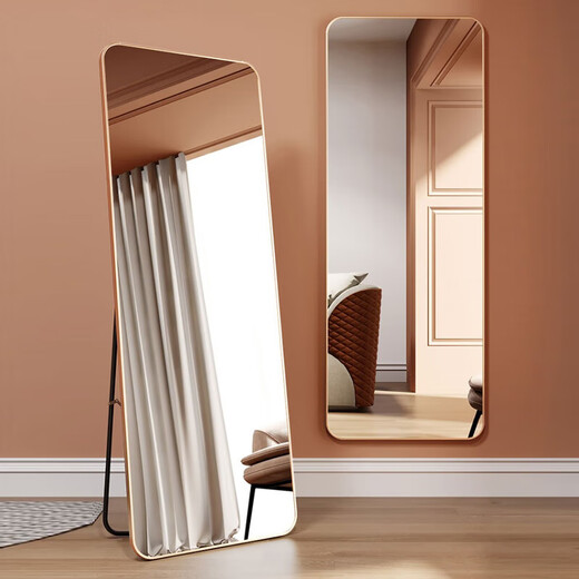 Xingkai Dressing mirror Full-body mirror Home bedroom fitting mirror Internet celebrity wall-mounted floor mirror JY89 gold 146*36