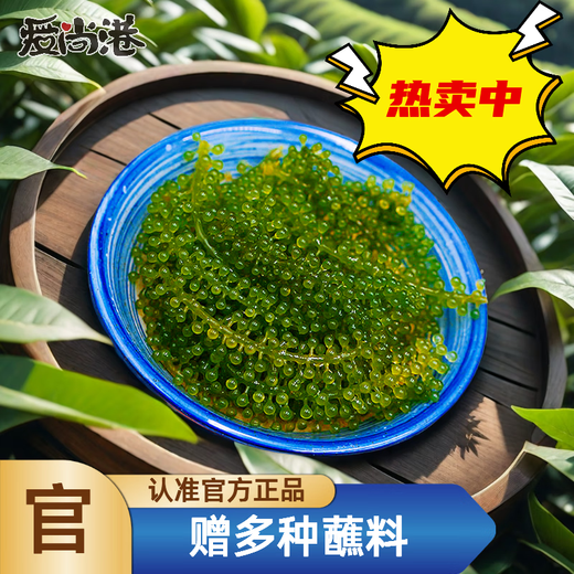 盐渍海葡萄泡发食用 儿童海藻菜海洋蔬菜海草 海葡萄100g*3袋【送芥末酱油】