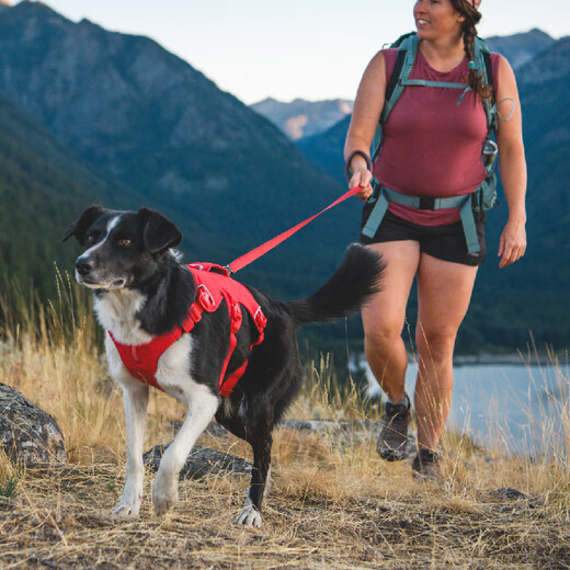 Ruffwell Wang Master Dog Harness Ruffwear Large Dog Golden Retriever Shiba Inu Pet Dog Rope Leash Dog Harness Canyon Red L/XL