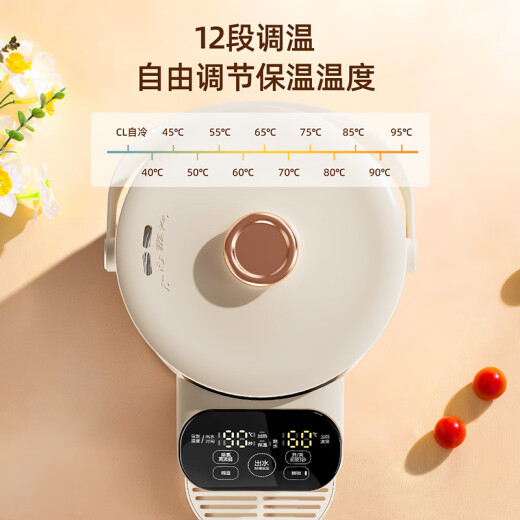 志高（CHIGO）电热水壶烧水壶电热水瓶烧水壶保温一体全自动恒温电热水壶3L大容量恒温水壶除氯多段保温DC-P831