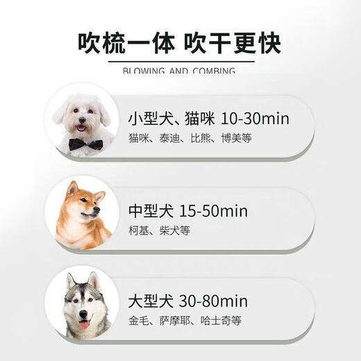 Little Sweat Pet Hair Blowing Artifact Hair Blowing Comb Dog Hair Blowing Machine Integrated Hair Dryer Teddy Hair Blowing Comb Beauty Special [One-click Hair Removal] Luxury Silver