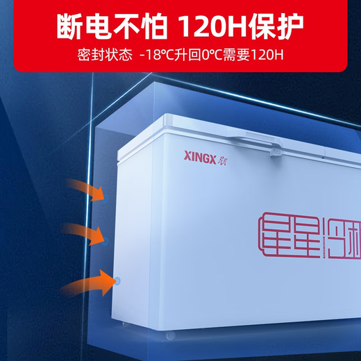 Xingxing (Xingx) Réfrigérateur de congélateur à grande capacité horizontal commercial, réfrigération à la conversion de réfrigération et congélation à haute température, réfrigération à haute efficacité de première efficacité énergétique de premier niveau, magasins, supermarchés, dépistage de la crème glacée [BC-728GE