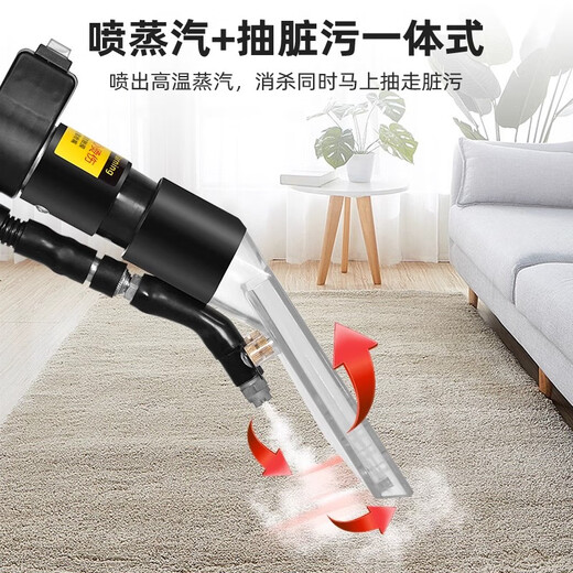 Ruizhi fabric sofa cleaning machine commercial spray and suction integrated curtain carpet cleaning housekeeping soft furnishing steam cleaning machine 9 liters 3000W power steam type + grinding head