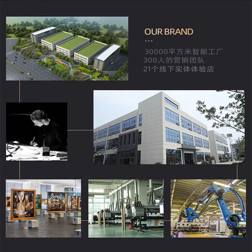 
Commonly written with backing power meter box decoration painting 2025 new weak power distribution box switch box multimedia cover hanging painting T9197 50*40cm (covering 40*30) hydraulic model [PS gold frame + crystal surface]
