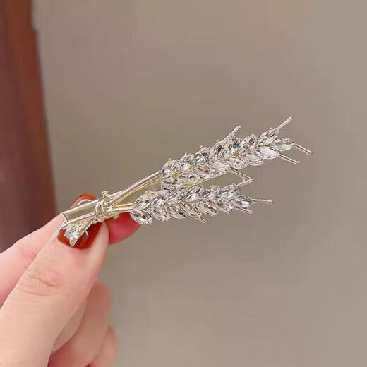 Hongyun Nachahmung Diamant Weizenohr Clip Damen Seitenclip kleine frische Haarspange Temperament Haarspange Stirnband Pony Clip gebrochene Haarspange Weizenohr Seitenclip ein Paar F147