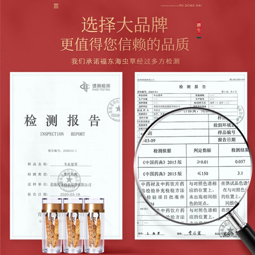 Fudonghai Cordyceps sinensis 10G Geschenkbox [bevorzugte Feinprodukte] Geschenke hoch und gefriergetrocknetes hochreines und ungebrochenes Gras