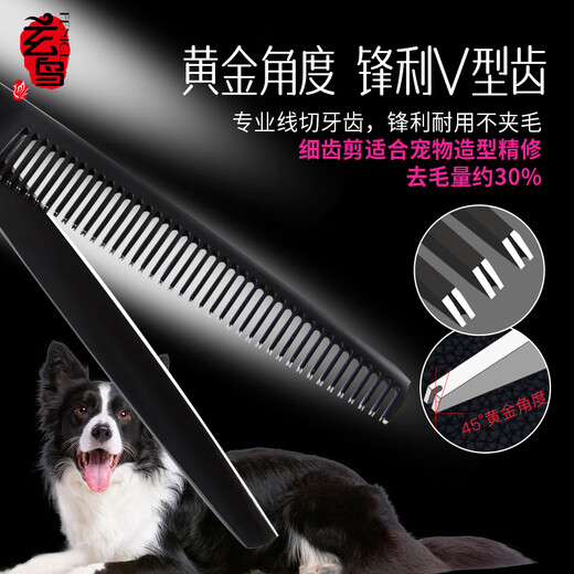 Blackbird pet scissors dog grooming shearing scissors small dog Teddy haircut straight scissors curved scissors teeth scissors fish bone scissors trimming fish bone scissors