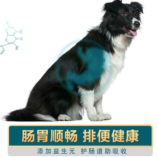 Mengxier Border Collie Dog Food Special for Puppies and Adult Dogs General Natural Food Calcium Supplement for Medium and Large Border Collies Beef Flavor 0g 0 Pack Border Collie Adult Dog Food 10Jin Jin is equal to 0.5kg
