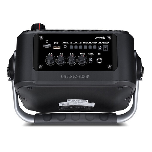 Malata (malata) outdoor audio electric acoustic guitar bass folk singing instrument speaker square dance portable wireless Bluetooth mini speaker with microphone