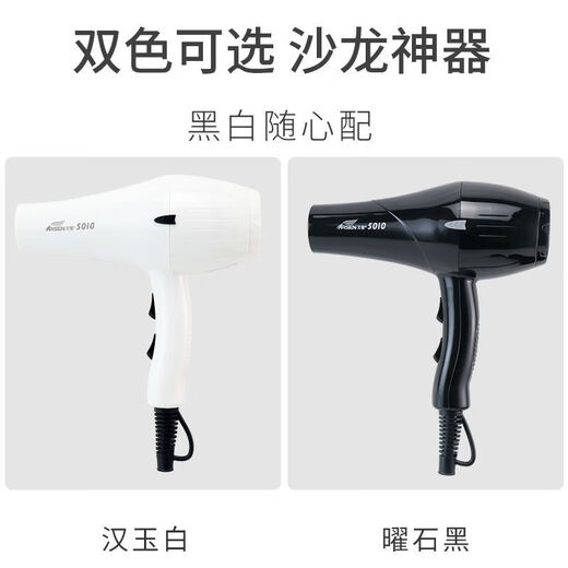 Aixin Aixin Haartrockner Special für Friseursalon, Hochleistungsk8 Negative Ionen Haarpflege Stille Luftgebläse für Friseurstore Special für Friseur Aixin 5010 Black (2200 Watt)