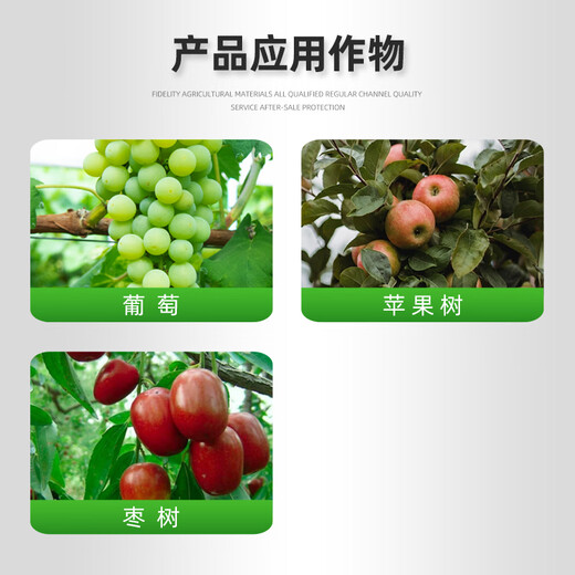 Premarin Premarin 3.6% gibberellic acid A4A7 Benzylaminopurine Plant growth regulator to increase fruit setting rate 2ml Premarin 2ml