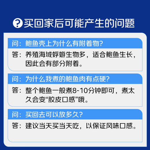 Twisted Abalone 1 fresh large abalone (8-10 heads/500g)