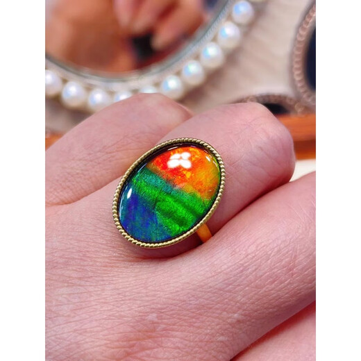 Luxurious Canadian Ammonite Ring 925 Silver Gold Plated Bare Stone 18*13