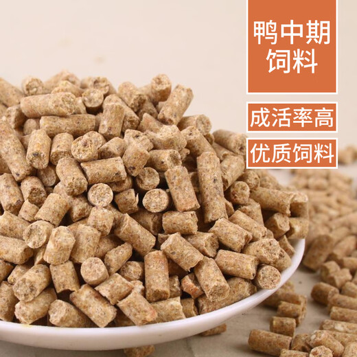 Tongwei Feed Breeding Special Open Layer Chicken and Duck Bird Feed Full Price Chicken Food Rutin Large Chicken Fishing Nutritional Chicken Media Tongwei 422 7 weeks old to start of production Duck in Egg-Trial