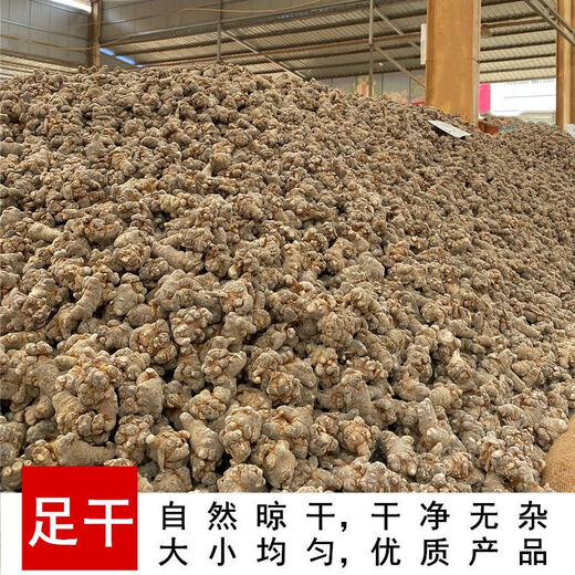 三七头三七云南文山春三七特级500g/100g田七粉可代磨粉 三七【整个】 三七20头20个【500克】