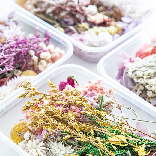 DIY mixed flower box mixed dried flower material package handmade material package home decoration real flowers air-dried natural purple wind flower material dried flower package