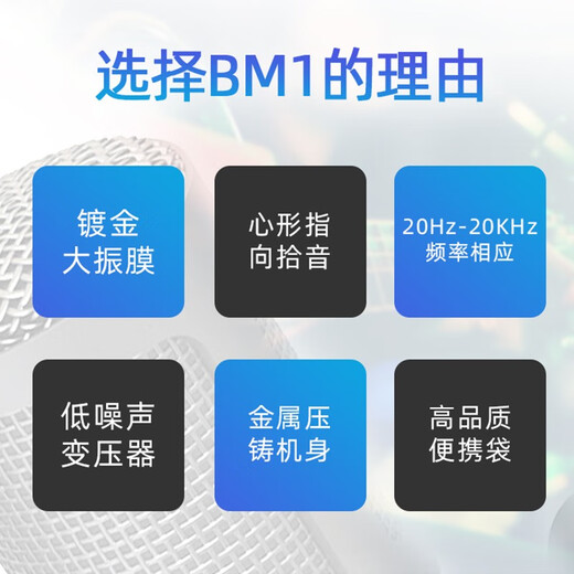 Behringer Behringer BM1 microphone computer microphone live broadcast sound card karaoke audiobook recording large diaphragm heart-shaped condenser microphone BM1 desktop stand