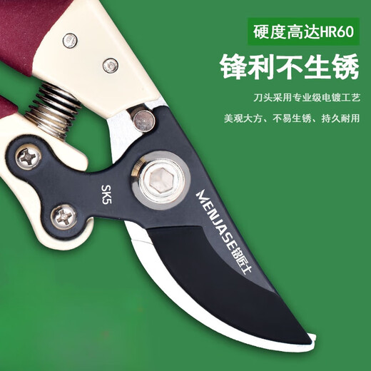 麦舒特德国精工果树剪树枝专用剪刀粗枝花剪修枝剪家用园艺省力修花 紫色