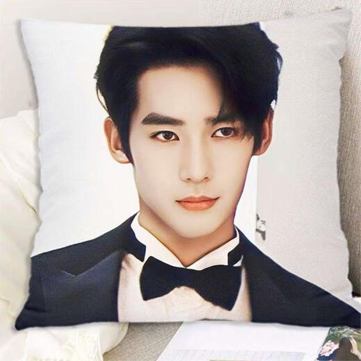 Yushi pillow Fengshen Jifa peripheral double-sided cushion best friend classmate birthday gift room dormitory pillow Yushi 2 45x45cm (pillow core + pillowcase)