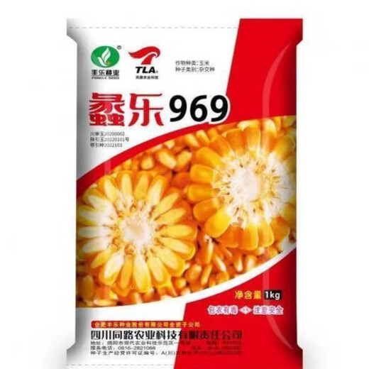 Academy of Agricultural Sciences Corn Seed Collection Original Lile 969 High Yield Short Stem North and South Spring and Summer Corn Seeds (Lile 969) Original (2 Jin Jin equals 0.5 kg) Disease Resistance and Lodging Resistance