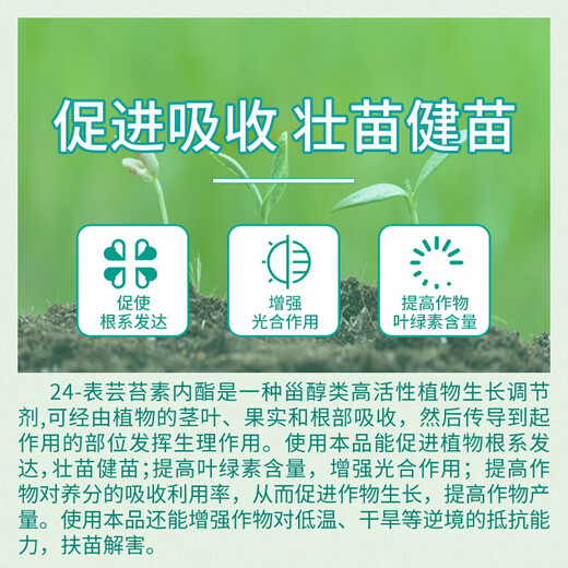 Guoguang Ximu 24-Epibrassinolide general antidote for flower seedlings and lawn plants plant growth regulator 100 ml * 1 bottle